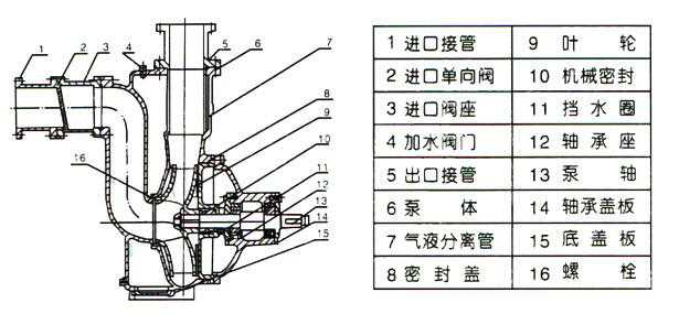 ZW型自吸式無(wú)堵塞排污泵(結(jié)構(gòu)圖)